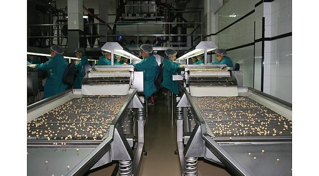 Fındık ihracatı 6 ayda 1 milyar doları geçti