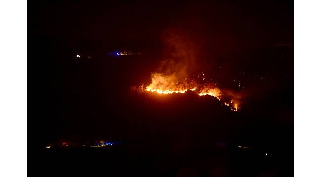 Giresun'da orman yangını