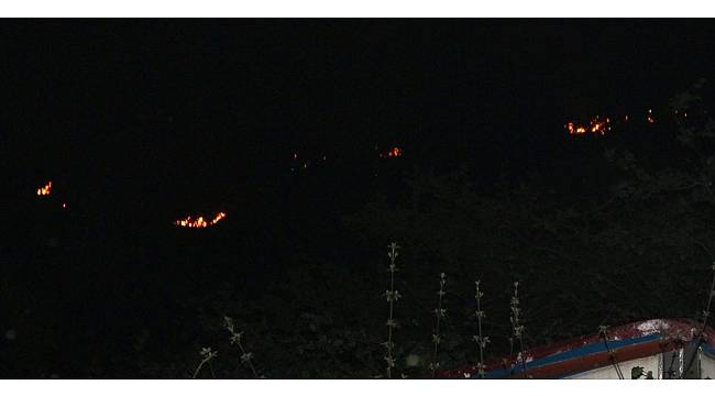 Giresun'da orman yangınları
