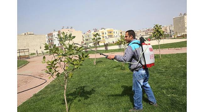 Haliliye&#39;de bitki zararlılarıyla mücadele çalışması