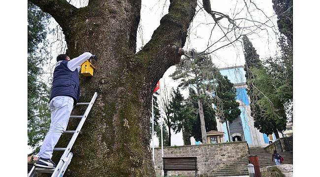 Kuş evleri Yıldırım'a renk kattı