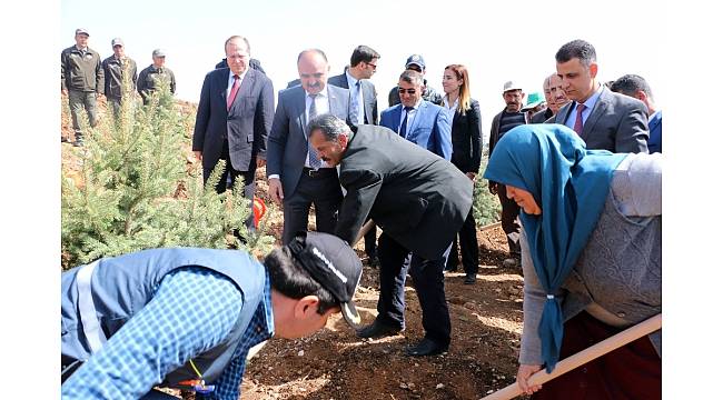 Şehit Sercan Kara için hatıra ormanı oluşturuldu