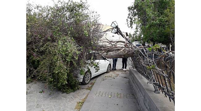 Tarsus'ta fırtına etkili oldu