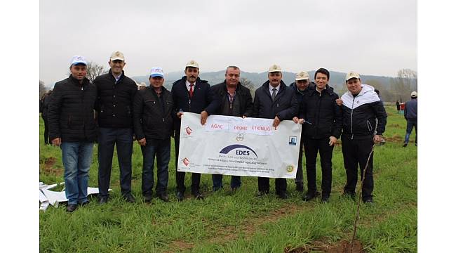 Yenice'de öğrenciler fidan dikti