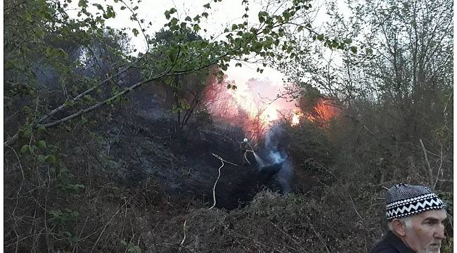 Akçakoca'da çıkan yangın büyümeden söndürüldü
