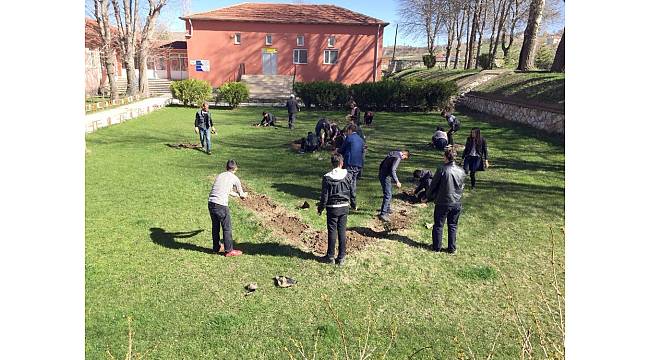 Çayıralan'da 4 bin adet gül fidanı toprakla buluştu