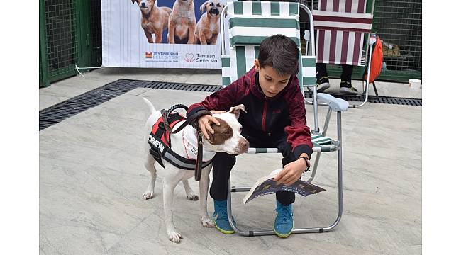 Çocuklar &quot;Pati Oyunu&quot; ile hayvan korkularını yeniyor