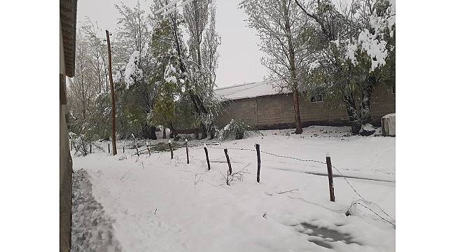 Yüksekova'da kar yağışı