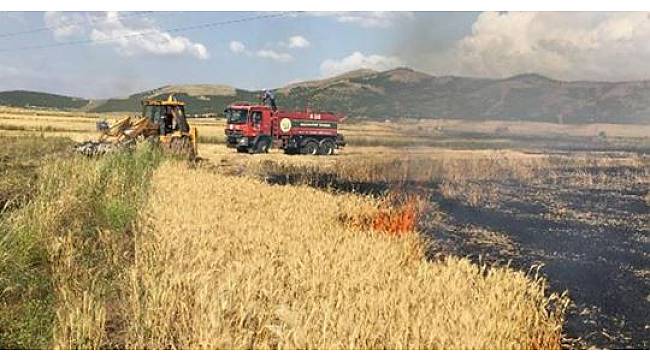 400 dönüm tarım arazisi kül oldu