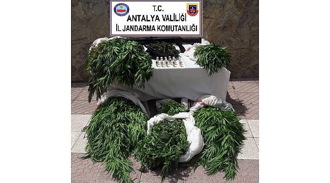 Antalya'da uyuşturucu operasyonları