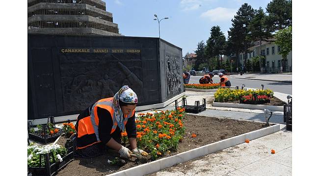 Bozüyük çiçeklerle kaplanıyor