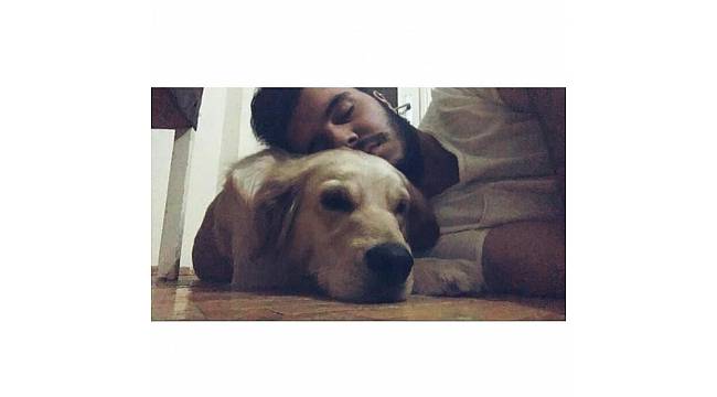 Eski sevgililerin köpek davası avukatlar yüzünden yarım kaldı