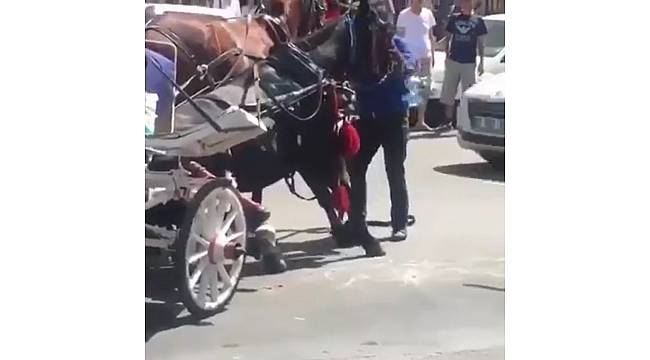 Faytona koşulan at aşırı sıcaktan yere yığıldı