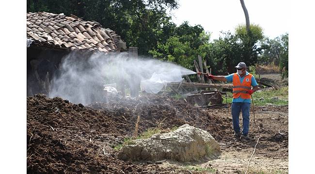Germencik Belediyesi haşerelerle mücadelede hız kesmiyor