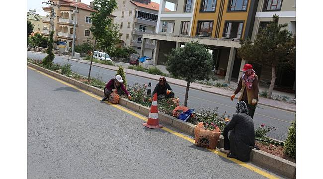 İş-Kur çalışanları iş başı yaptı