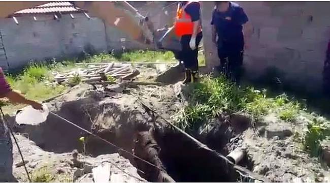 Isparta'da çukura düşen at kepçeyle kurtarıldı