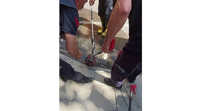İtfaiyeden yılan operasyonu