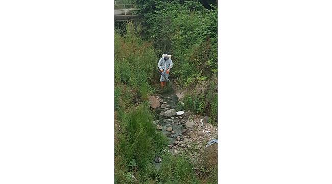 Kdz. Ereğli'de dere yatakları ilaçlanıyor
