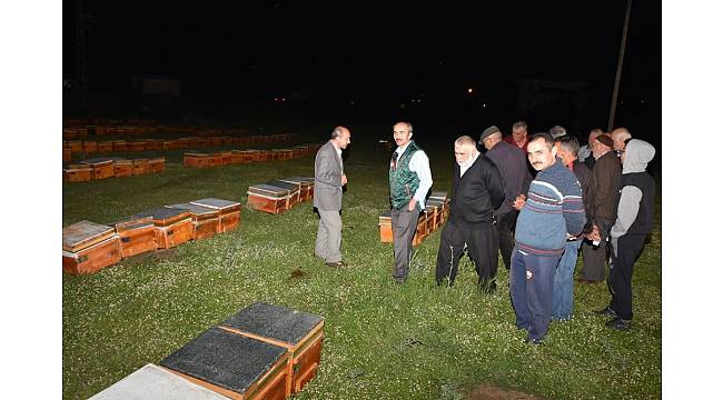 Kızılcahamam'da 75 çiftçiye 350 arılı kovan dağıtıldı