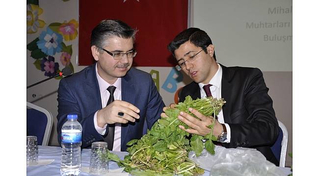 Mihalgazi ve Sarıcakaya'nın en önemli tarımsal sorunları çözüldü