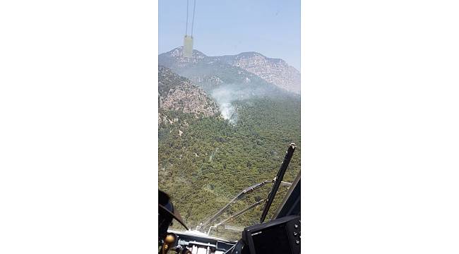 Muğla'da orman yangını