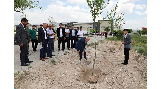 Niğde'de, Afrin Şehitleri anısına çınar fidanı diktiler