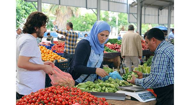 Şanlıurfa'da yeni mahsul kabaklar pazara indi