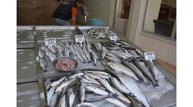 Sinop'ta Ramazan'da balık satışları düştü