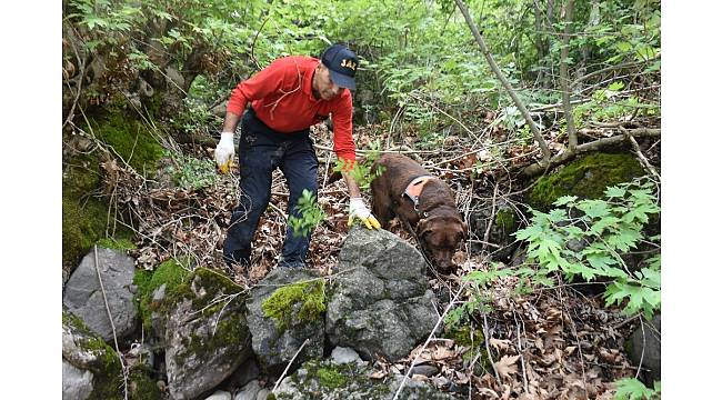 Tokat'ta kaybolan muhtarı kadavra köpeği arıyor
