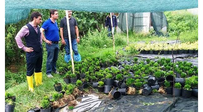 Yalova'da hasar tespit çalışmaları başladı