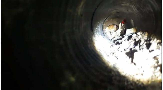 Yalova'da kedi kurtarma operasyonu