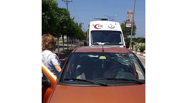 Atın çarptığı otomobilin sürücüsü yaralandı