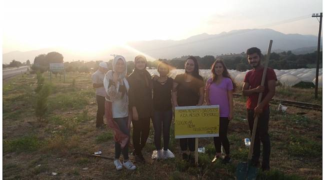 Bir çocuk bir fidan diyerek fidan diktiler