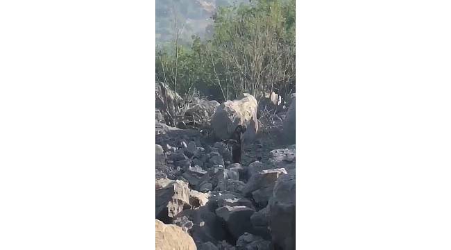 Bitlis şehidinin katili kadın terörist böyle yakalandı