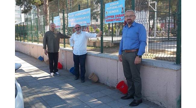 Öğretmenler sokak hayvanlarına duyarsız kalmadı