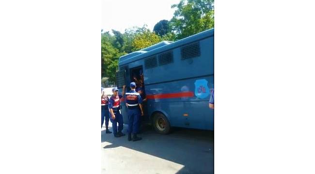 'Kedicikler' Tekirdağ'da