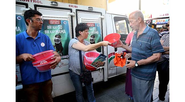 Sokak hayvanları için 'yaz' seferberliği