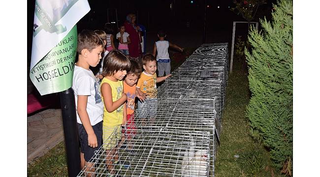 Sultan tavukları çocukları cezp etti