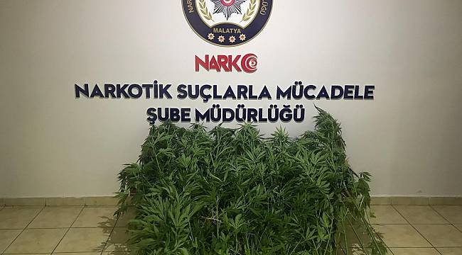 Narkotik Suçlarla Mücadele Şube Müdürlüğü...