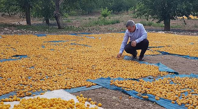 YEŞİLYURT BELEDİYE BAŞKANI MEHMET ÇINAR, 16 EKİM DÜNYA GIDA GÜNÜNÜ KUTLADI