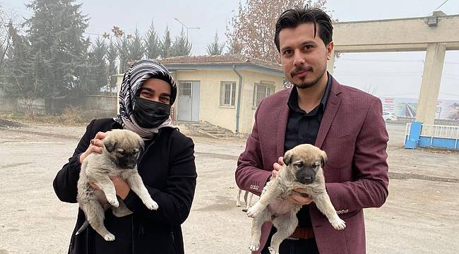 AK Parti Yeşilyurt Gençlik ve Kadın Kolları Sokak Hayvanlarını Unutmadi