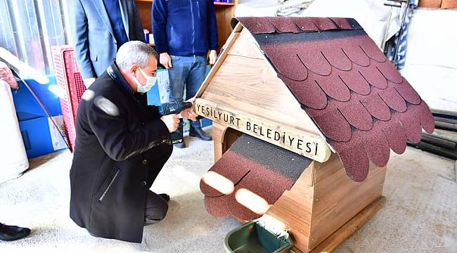 YEŞİLYURT BELEDİYESİ, SOKAK HAYVANLARI İÇİN ÖRNEK BİR PROJE GELİŞTİRDİ