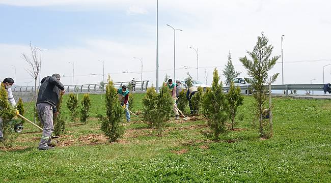 BÜYÜKŞEHİR BELEDİYESİ PARKLARI VE REFÜJLERİ YENİLENİYOR