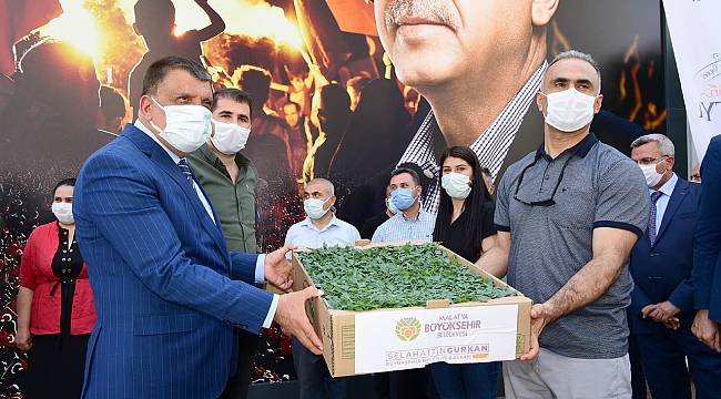 DONDAN ZARAR GÖREN MALATYA’LI ÇİFTÇİLERE BÜYÜKŞEHİR BELEDİYESİNDEN SEBZE FİDESİ DESTEĞİ