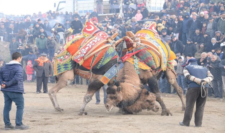 Develer Bergama’da güreşecek