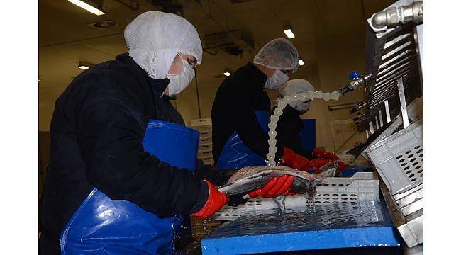 AB desteği ile fabrika kurdu, şimdi 5 milyon liralık ihracat yapıyor