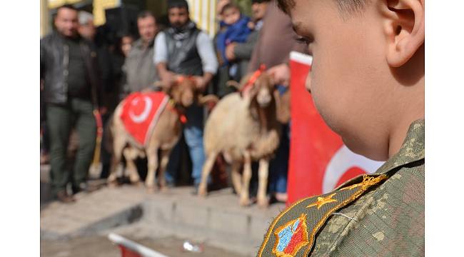 Adaklar 'Mehmetler' için kesildi