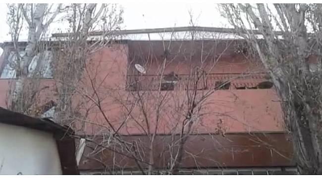 Ağaçta sıkışan kediyi Türkmen genç kurtardı
