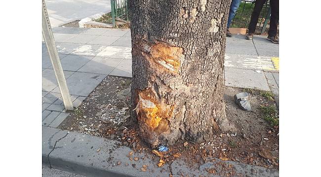 Başkent'te trafik kazası: 1 ağır yaralı