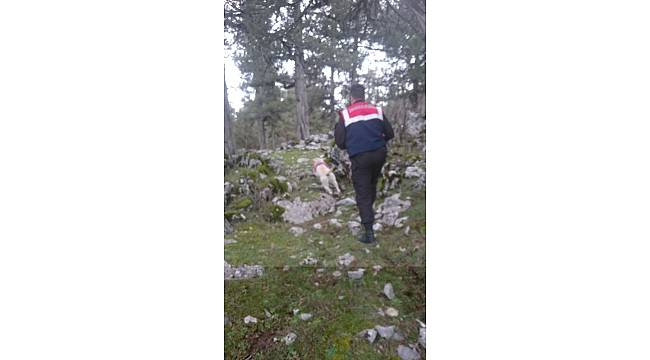 Dağda kaybolan 5 kişi bulundu